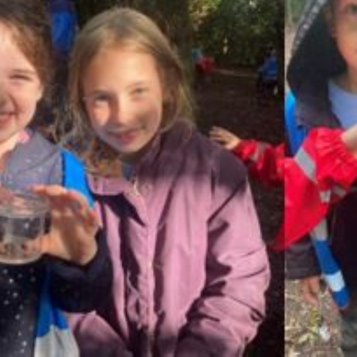 tetherdown-school-year-4-welsh-harp-trip